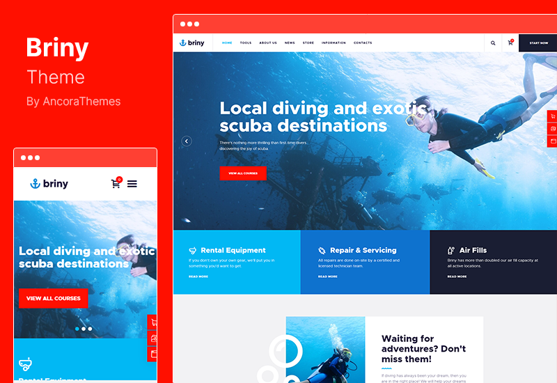 Motyw Briny - Szkoła nurkowania i sporty wodne Motyw WordPress