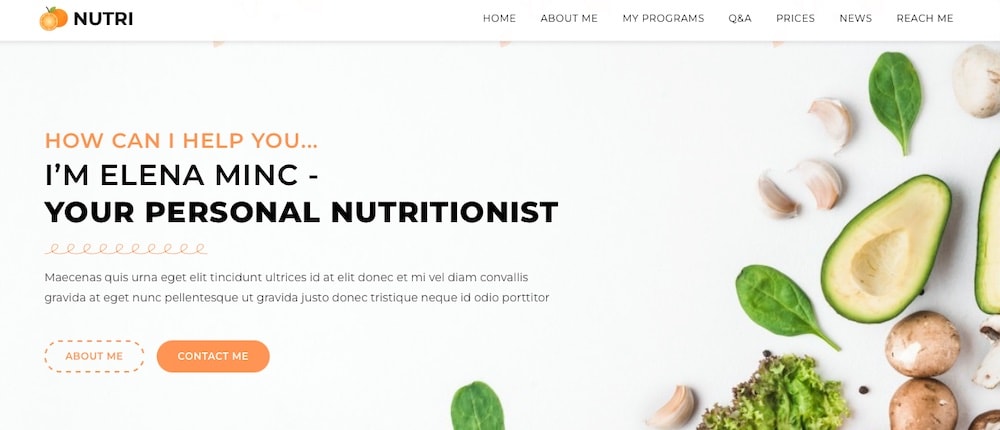 OceanWP WordPress 主题