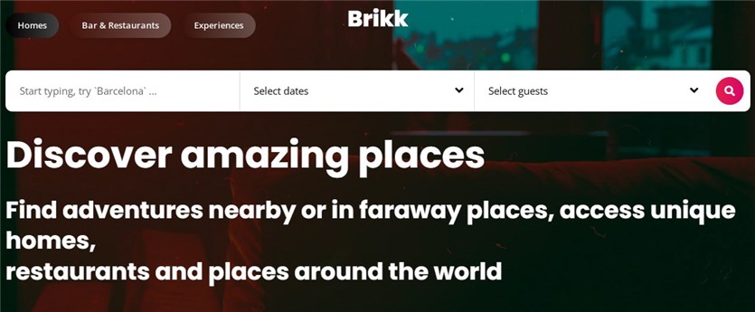 Brikk wordpress en iyi dizin temaları
