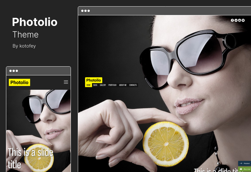 ธีม Photolio - ธีมการถ่ายภาพ WordPress