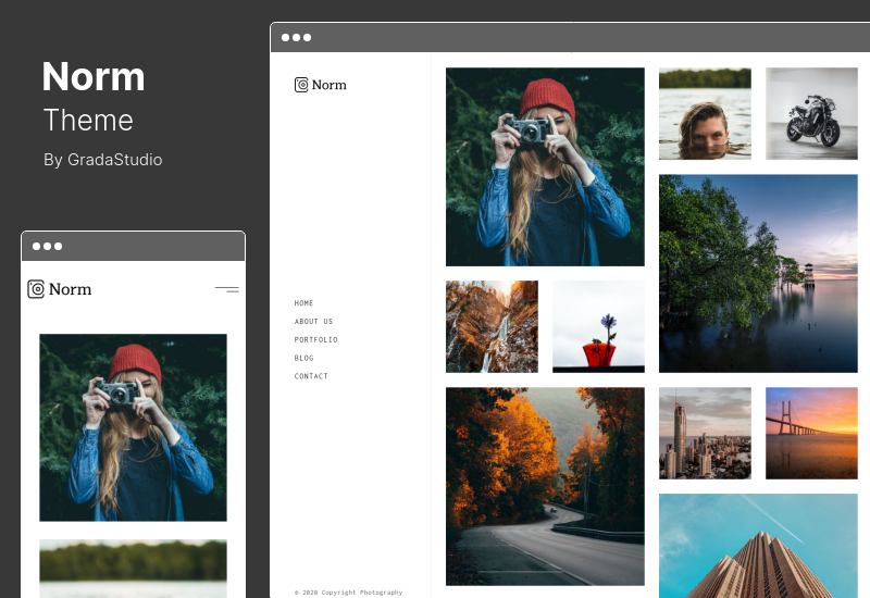 Norm Theme - องค์ประกอบการถ่ายภาพ WordPress Theme