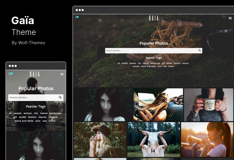 ธีม Gaia - รูปภาพและสต็อกรูปภาพ WordPress Theme