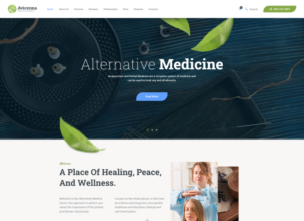 Avicenna - 另类民间医学医生 WordPress 主题