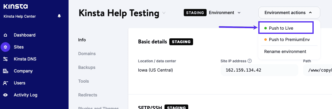 Invio di un sito su un server live utilizzando Kinsta.