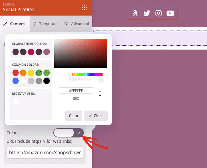 Colore e URL personalizzati dell'icona dei social media