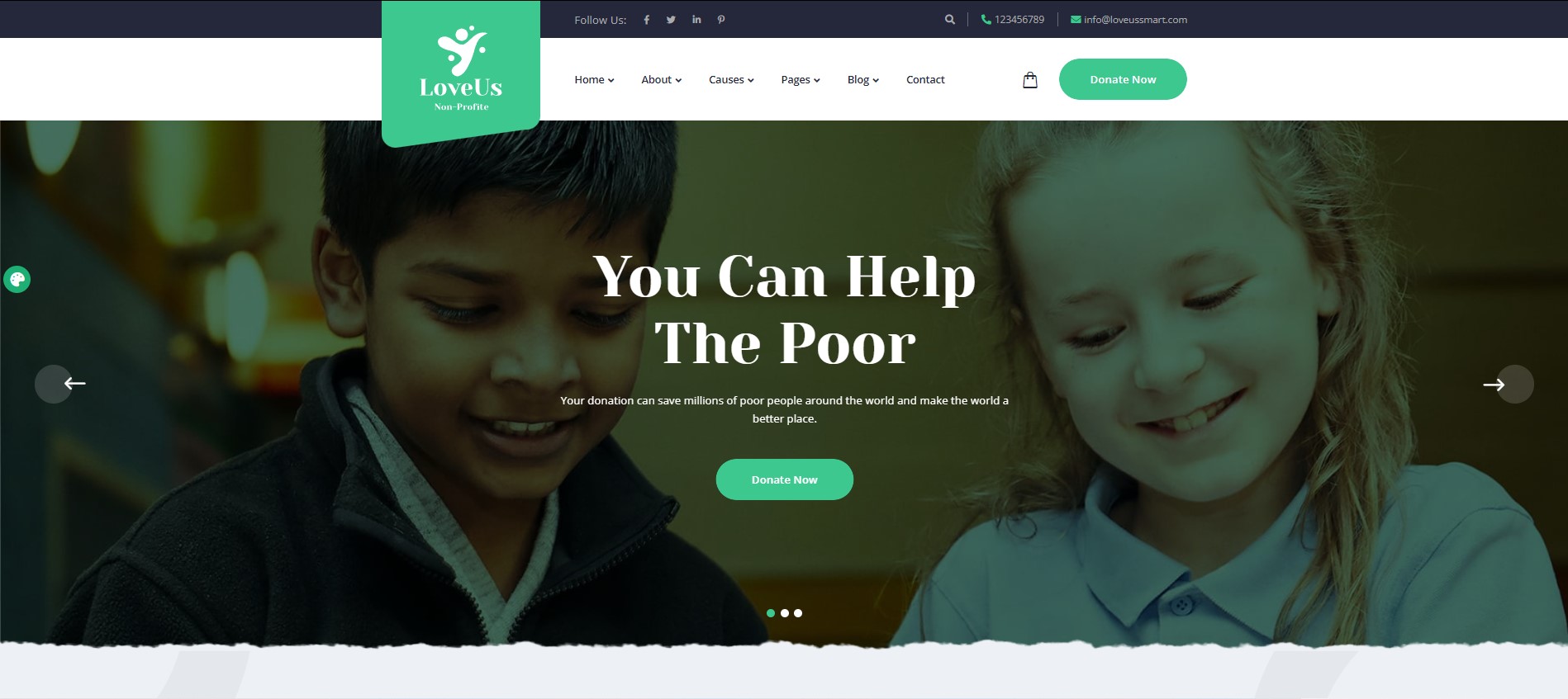 loveus - 非営利団体向けの wordpress の活動化ボランティア