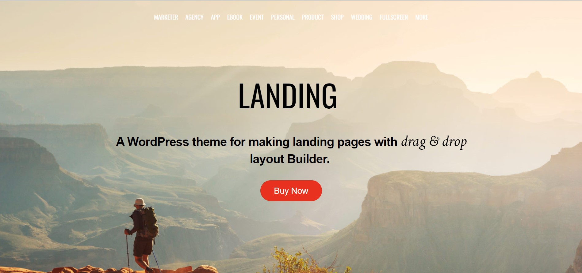 pendaratan - pimpin minimalis dalam pertarungan halaman arahan wordpress