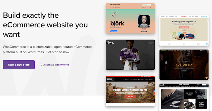 البرنامج المساعد WooCommerce eCommerce WordPress