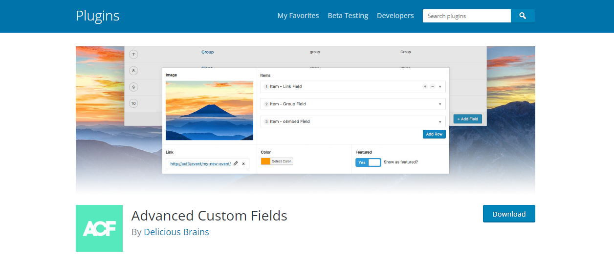 ACF - Complemento de campos personalizados de WordPress