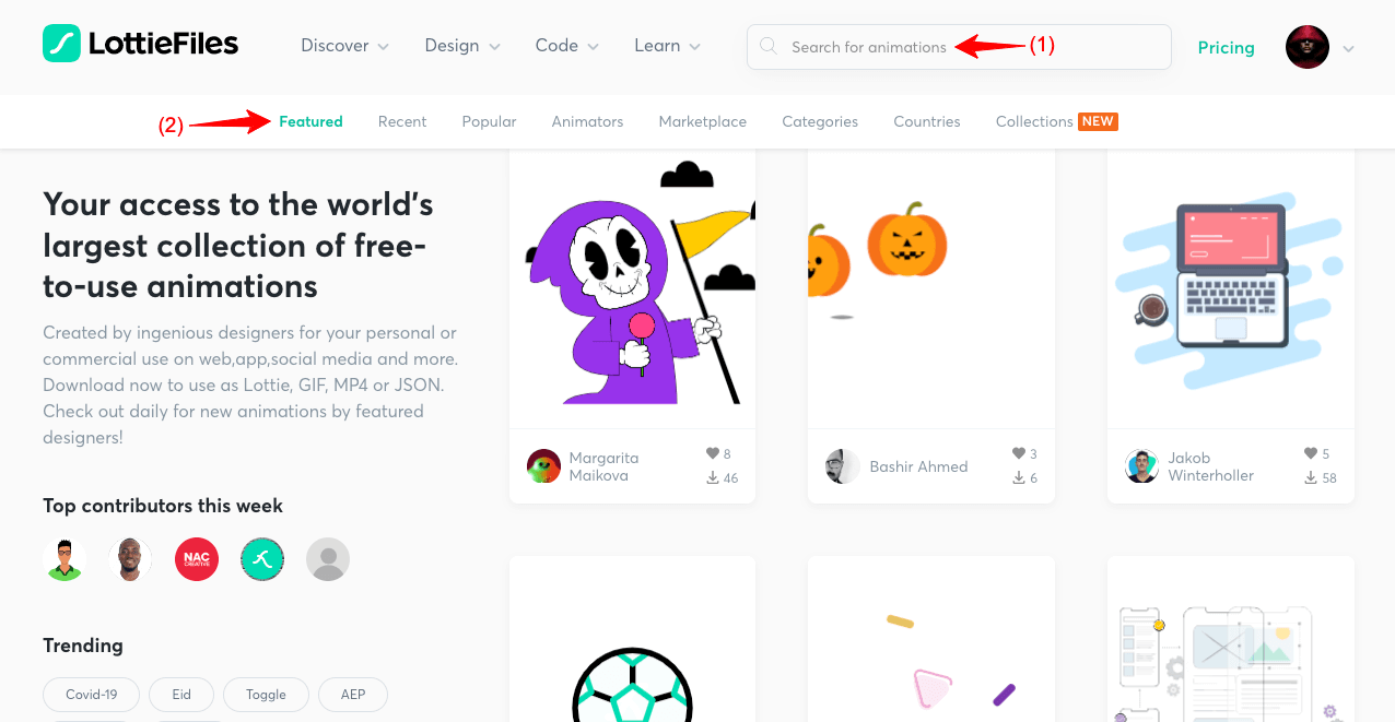 Elementor に Lottie アニメーションを追加する方法 (3 つの簡単な方法) 2 Explore Lottie Animation Files from LottieFiles
