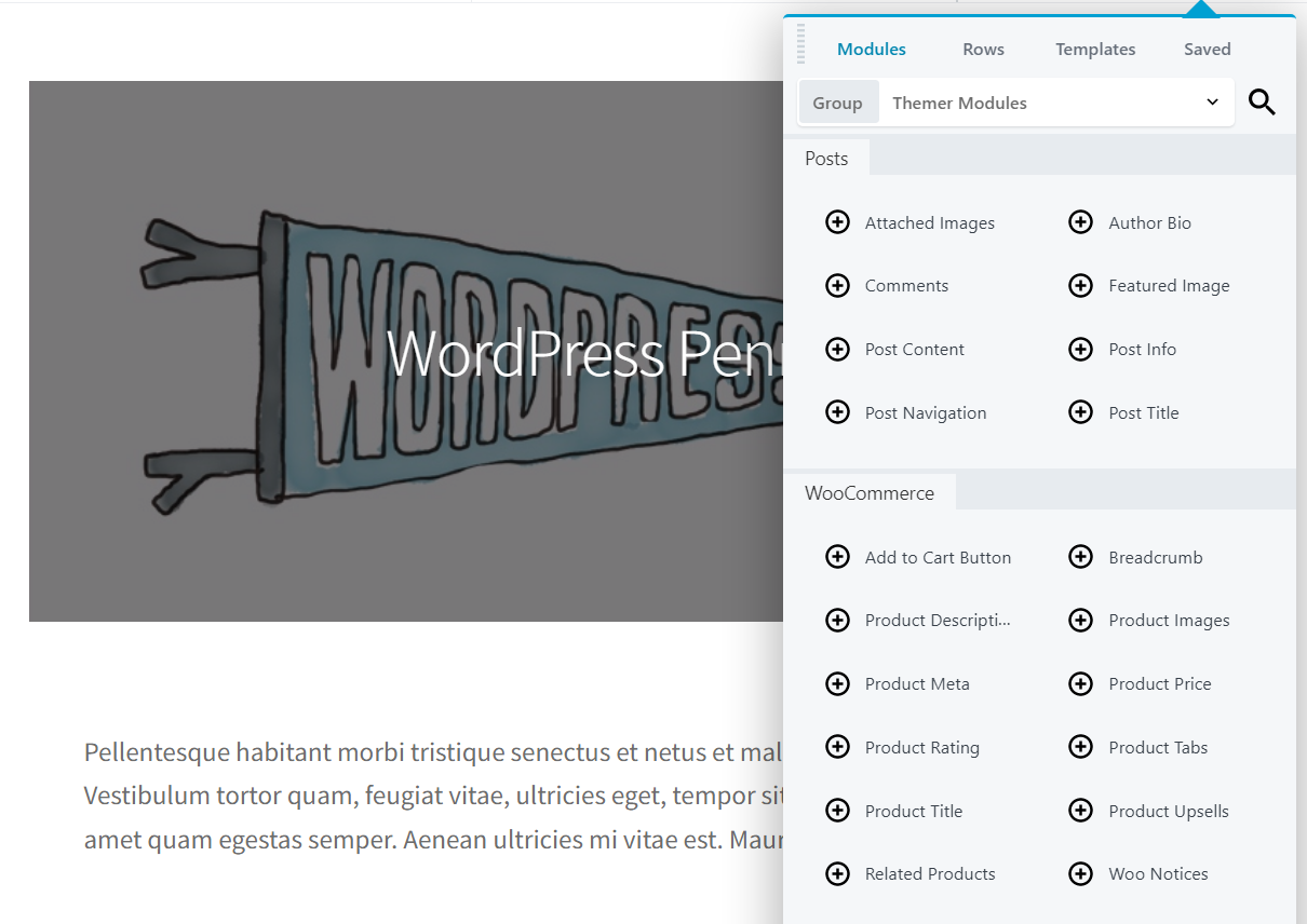 Moduli WooCommerce a tema castoro