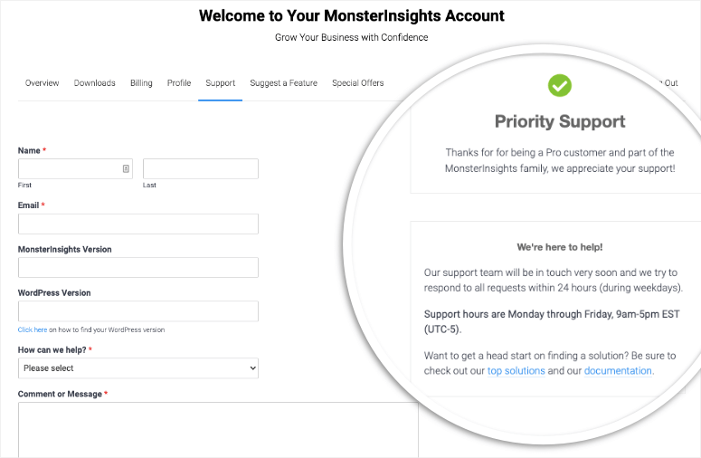 Unterstützung in Monsterinsights - IsItWP - Free WordPress Theme Detector support in monsterinsights
