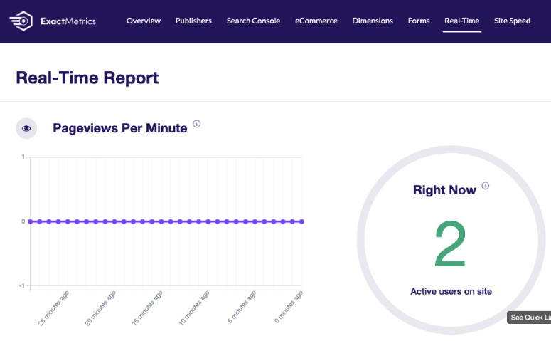ExactMetrics-Echtzeitbericht – IsItWP – Free WordPress Theme Detector ExactMetrics realtime report