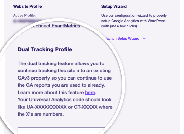 duales Tracking in ExactMetrics - IsItWP - Free WordPress Theme Detector dual tracking in ExactMetrics