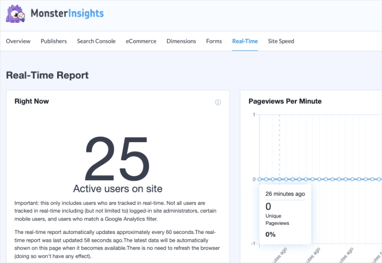 Echtzeitbericht in MonsterInsights - IsItWP - Free WordPress Theme Detector real time report in MonsterInsights