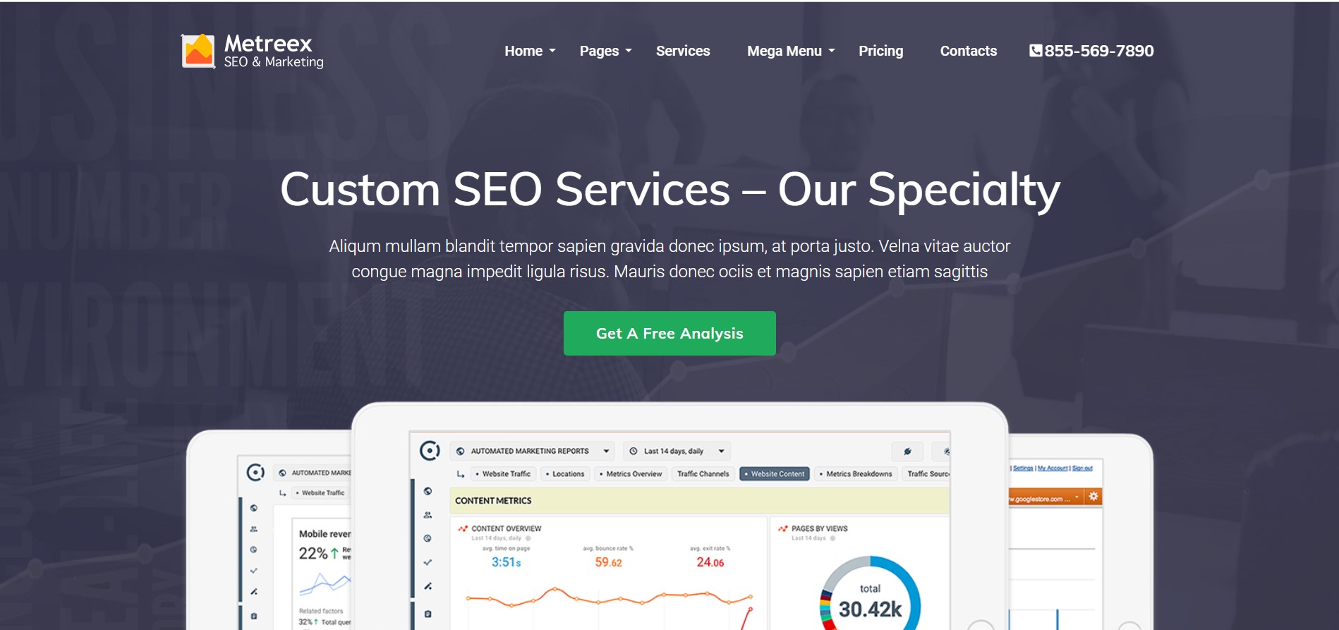 metreex - tema de nișă în fiecare cea mai bună temă wordpress pentru agenții de SEO