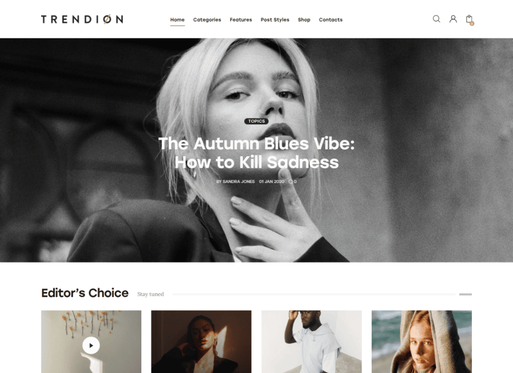Trendion - Kişisel Yaşam Tarzı Blog ve Dergi WordPress Teması