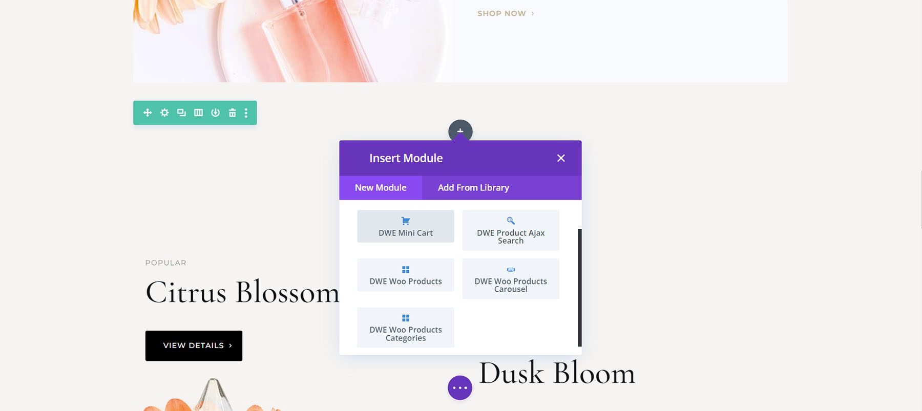 Modul Diperpanjang Divi WooCommerce