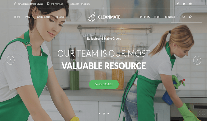 10+ Tema WordPress Perusahaan Pembersih Terbaik 2022 9 cleaning company WordPress themes