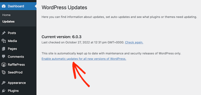 Cómo habilitar las actualizaciones automáticas en WordPress