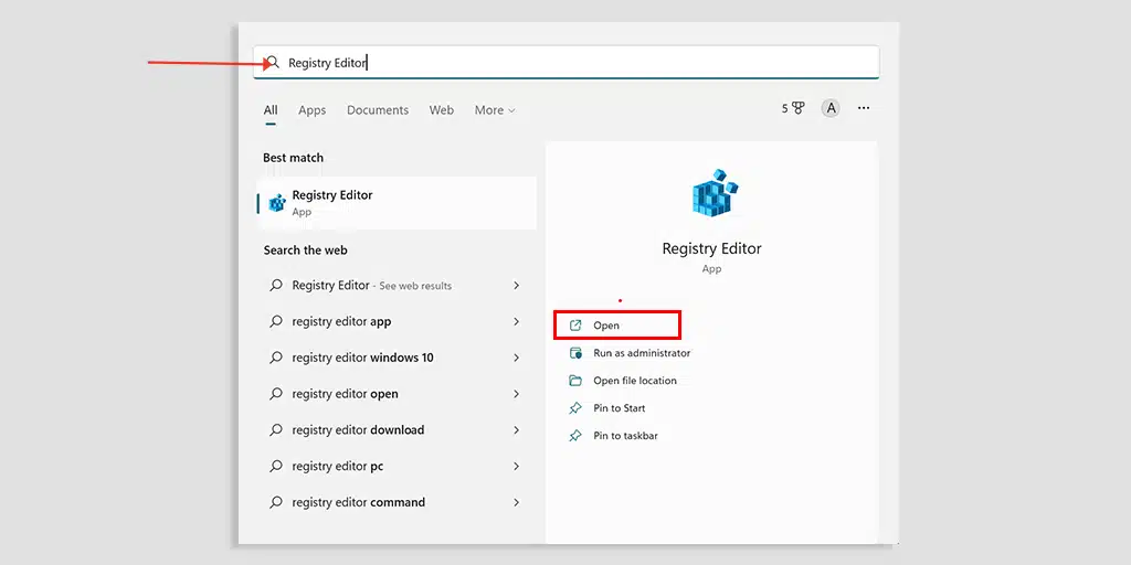 DNS 中毒又名 DNS 欺骗:含义、预防和修复 6 Open Registry Editor in Windows OS