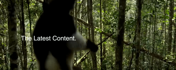 Un'anteprima dello sfondo di un video di un sito web realizzato con Beaver Builder.