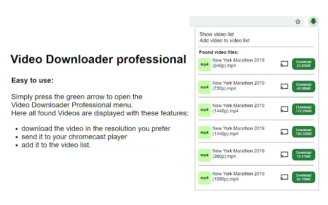 10 多个最佳免费视频下载器 Chrome 扩展程序 74 video downloader professional