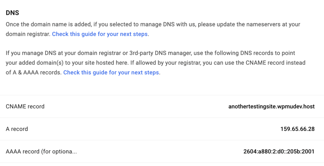 Catatan DNS.