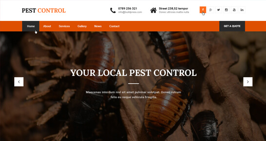 Schädlingsbekämpfung WordPress-Theme