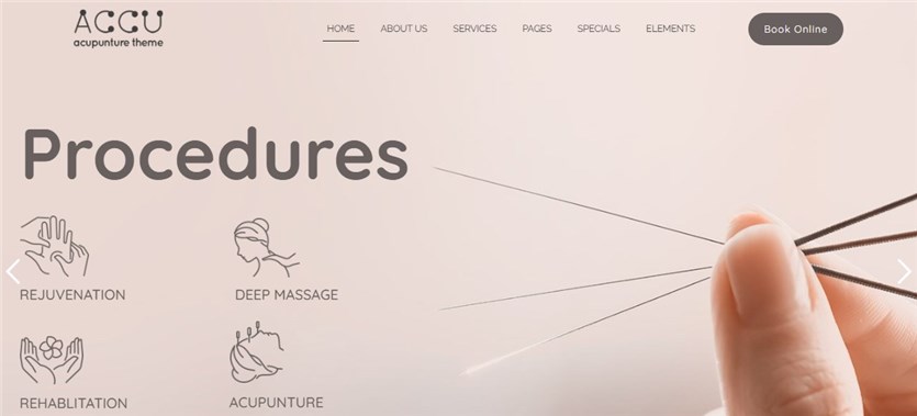 Templat wordpress accu