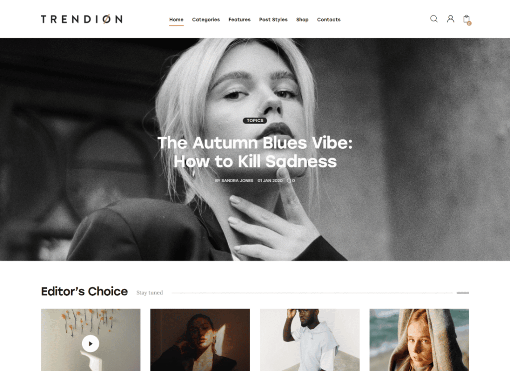 Trendion - 개인 라이프스타일 블로그 및 잡지 WordPress Theme