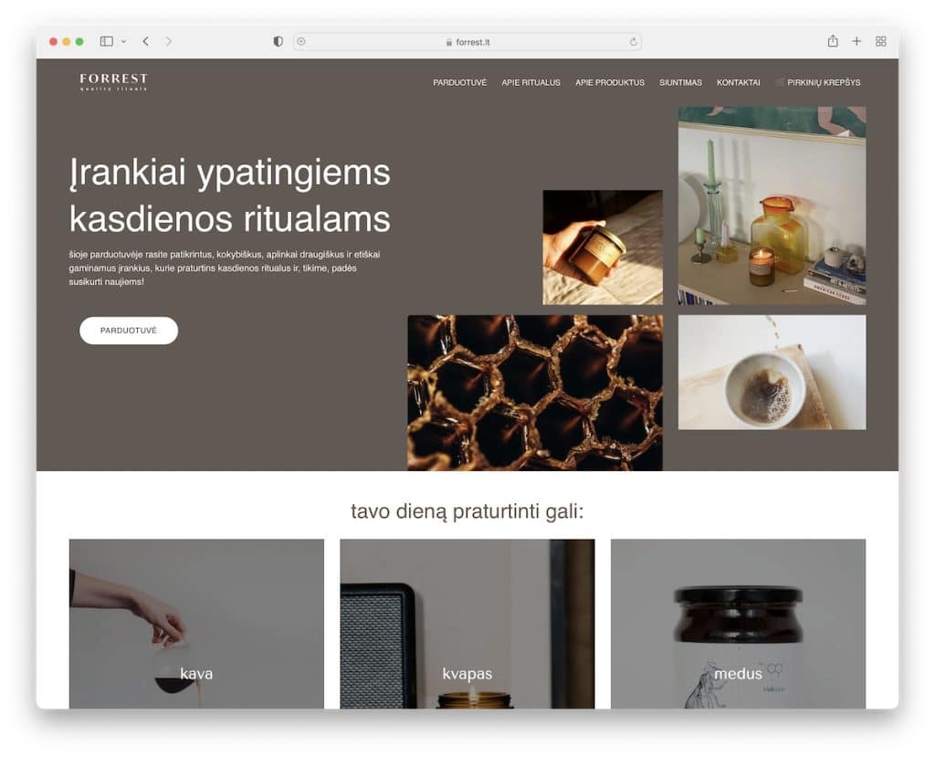 situs web forrest zyro
