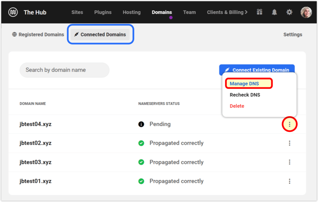 domini onnessi gestiscono dns (wpmudev)