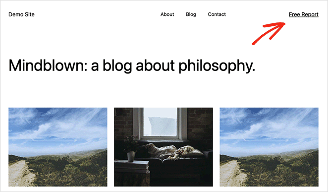 en-tête sans bouton - SeedProd WordPress header without button