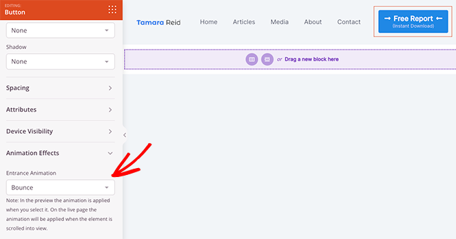 effets d'animation de bouton - SeedProd Button animation settings