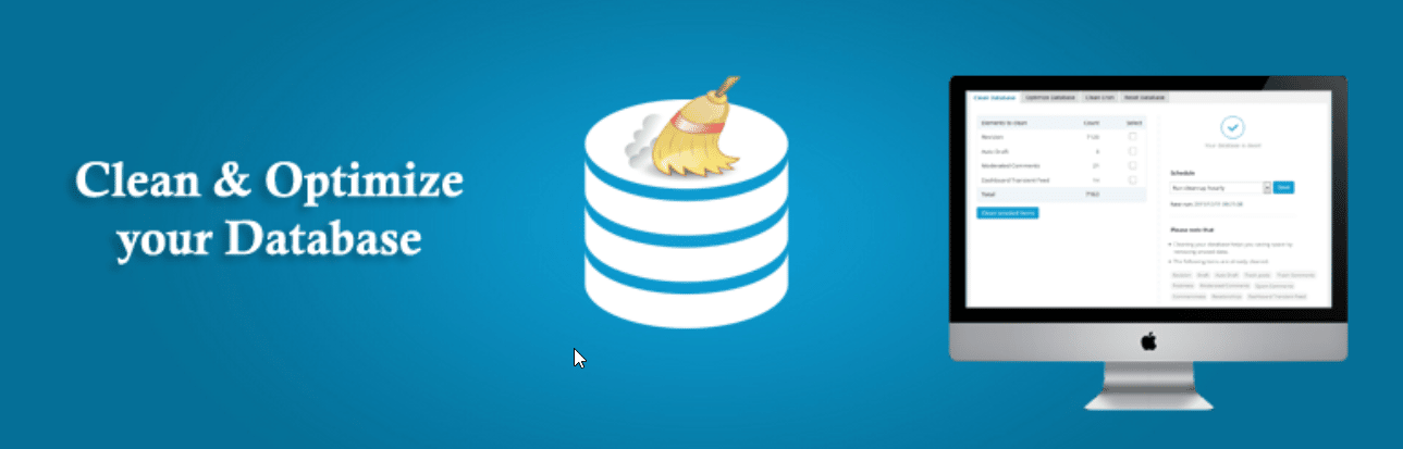 Plugin per database di WordPress WordPress Database Plugins