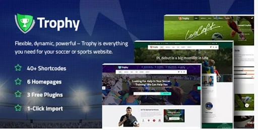 Tema WordPress Sepak Bola Dan Sepak Bola