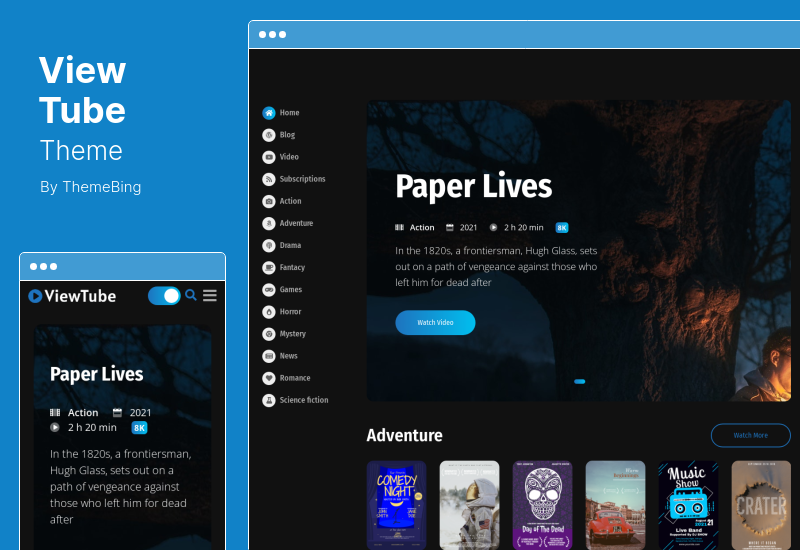 ViewTube 主题 - 视频流 WordPress 主题