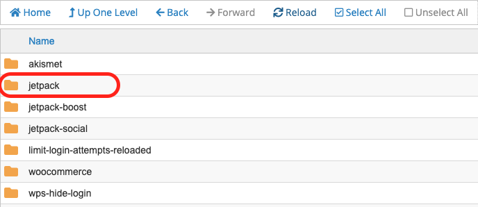 Plugin Jetpack encerclé dans le gestionnaire de fichiers