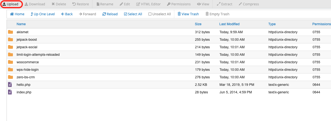Bouton de téléchargement mis en évidence dans cPanel