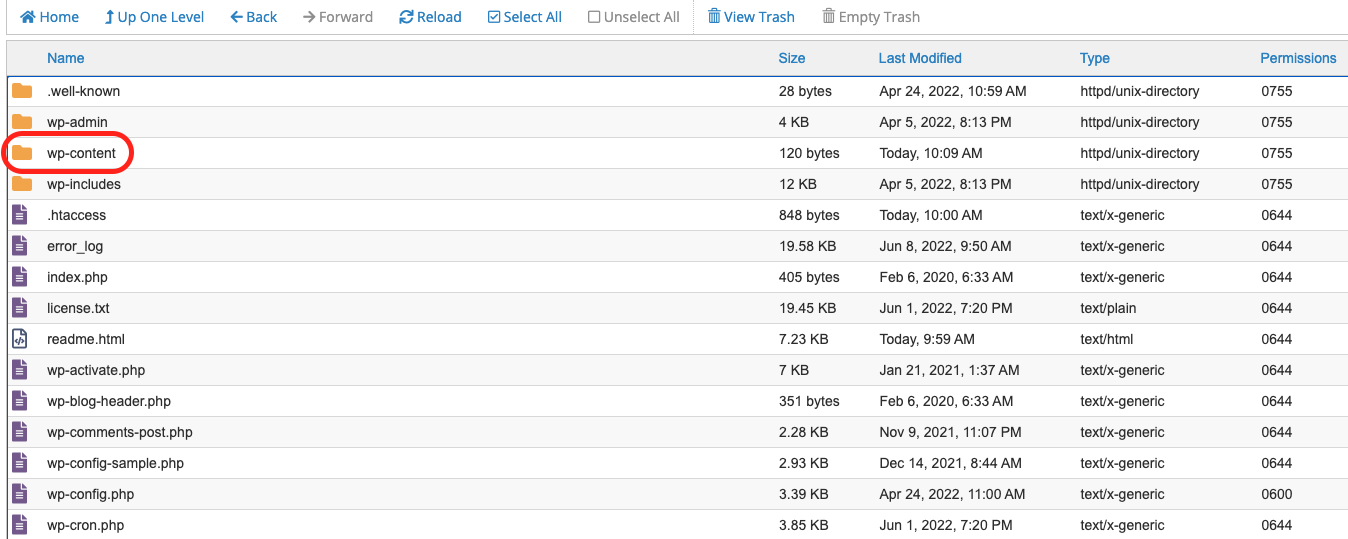 Faits saillants du dossier wp-content dans cPanel