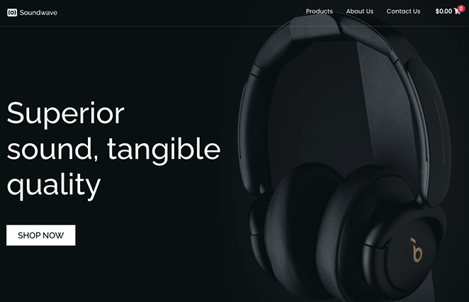 oneproductwebsiteホームページ - SeedProd Example of how to make one product website homepage