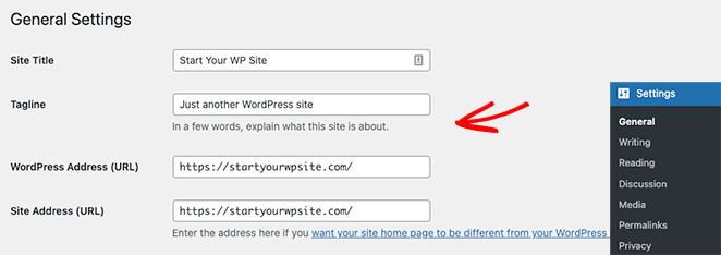 一般設定ワードプレス - SeedProd WordPress general settings