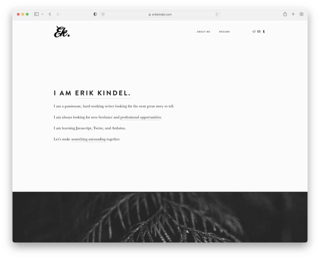 Sito web del curriculum di erik kindel