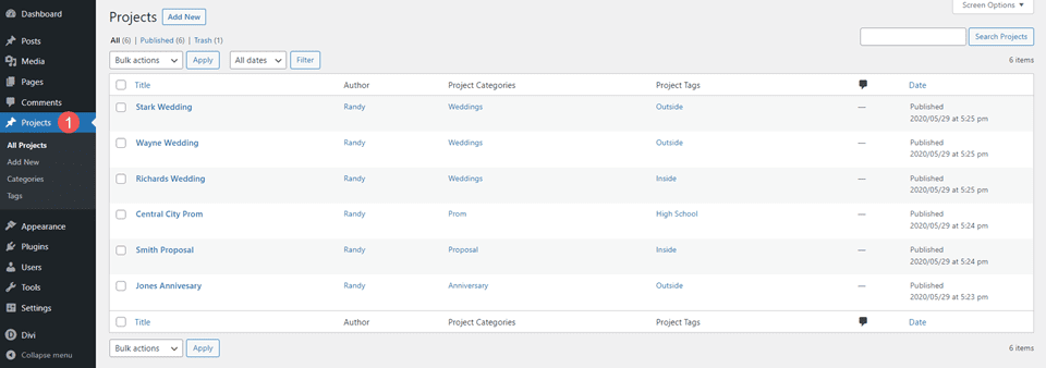 WordPress Projelerini Kurma