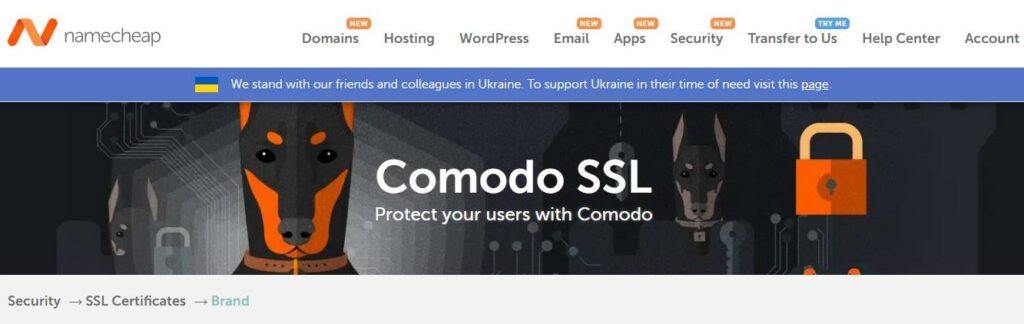 WordPress의 SSL 인증서 비용