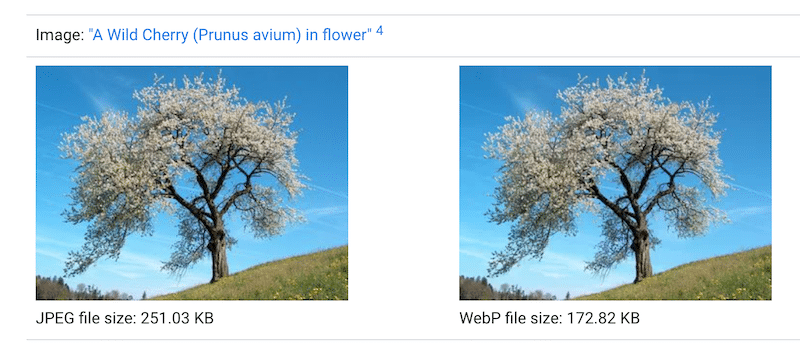 WebP 파일은 동일한 품질의 JPEG 파일보다 가볍습니다. - 출처: Google WebP 개발자