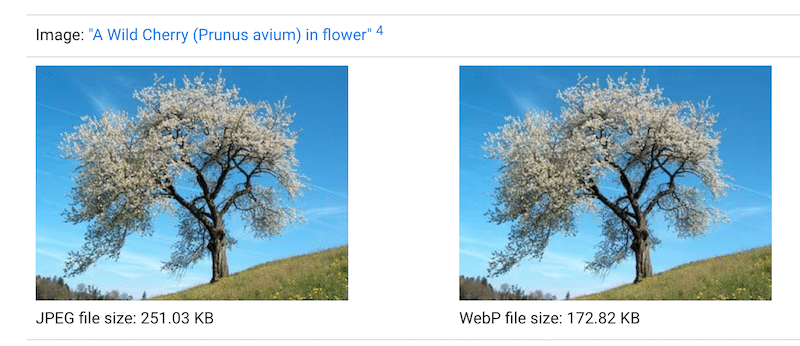 Un fichier WebP est plus léger qu'un fichier JPEG avec la même qualité - Source : développeurs Google WebP