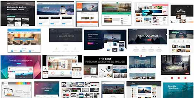 Estadísticas de temas de WordPress