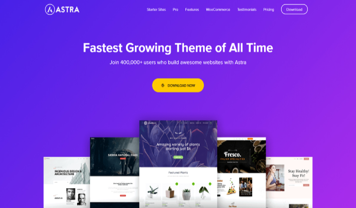 9+ アフィリエイト マーケティングに最適な WordPress テーマ 2023 6 astra blog image